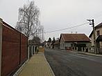 Třibřichy