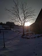 Skalité