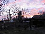 Třibřichy