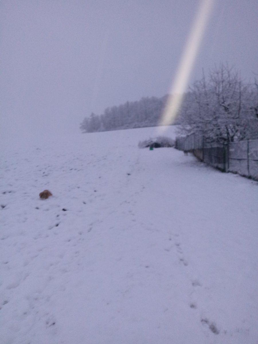 Jírovice u Benešova