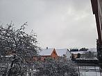 Olešná
