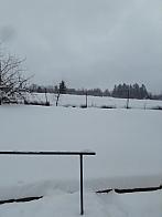 Skalité