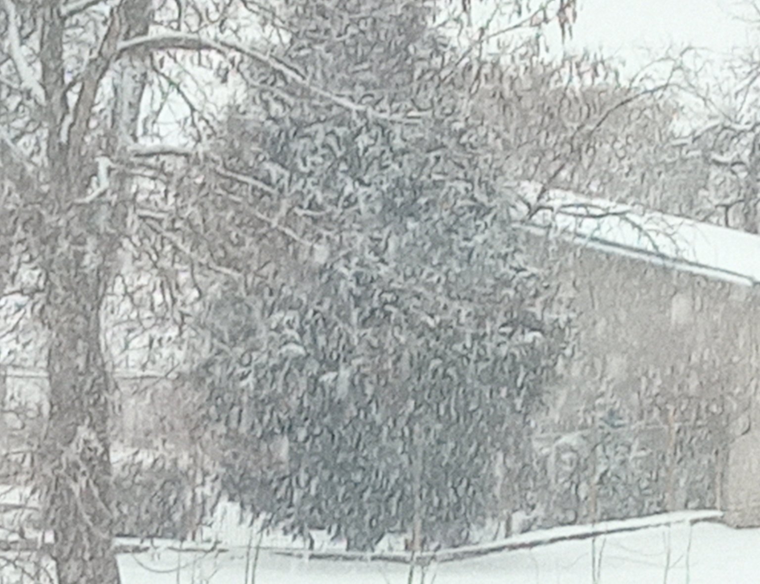 Mokrosuky, Pošumaví