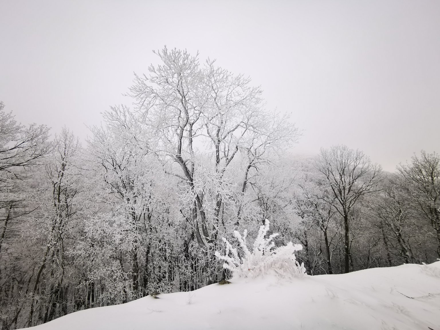 Kostomlaty pod Milešovkou