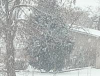 Mokrosuky, Pošumaví