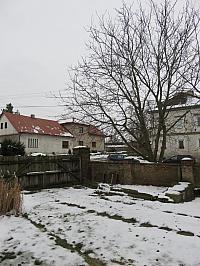 Třibřichy