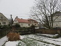 Třibřichy