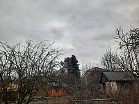 Olešná