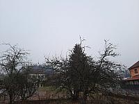 Olešná