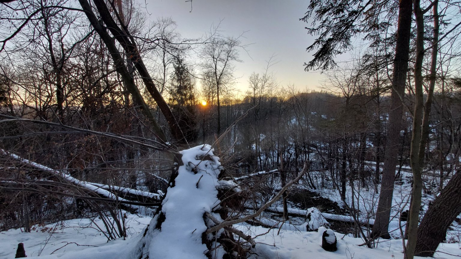 Mosty u Českého Těšína