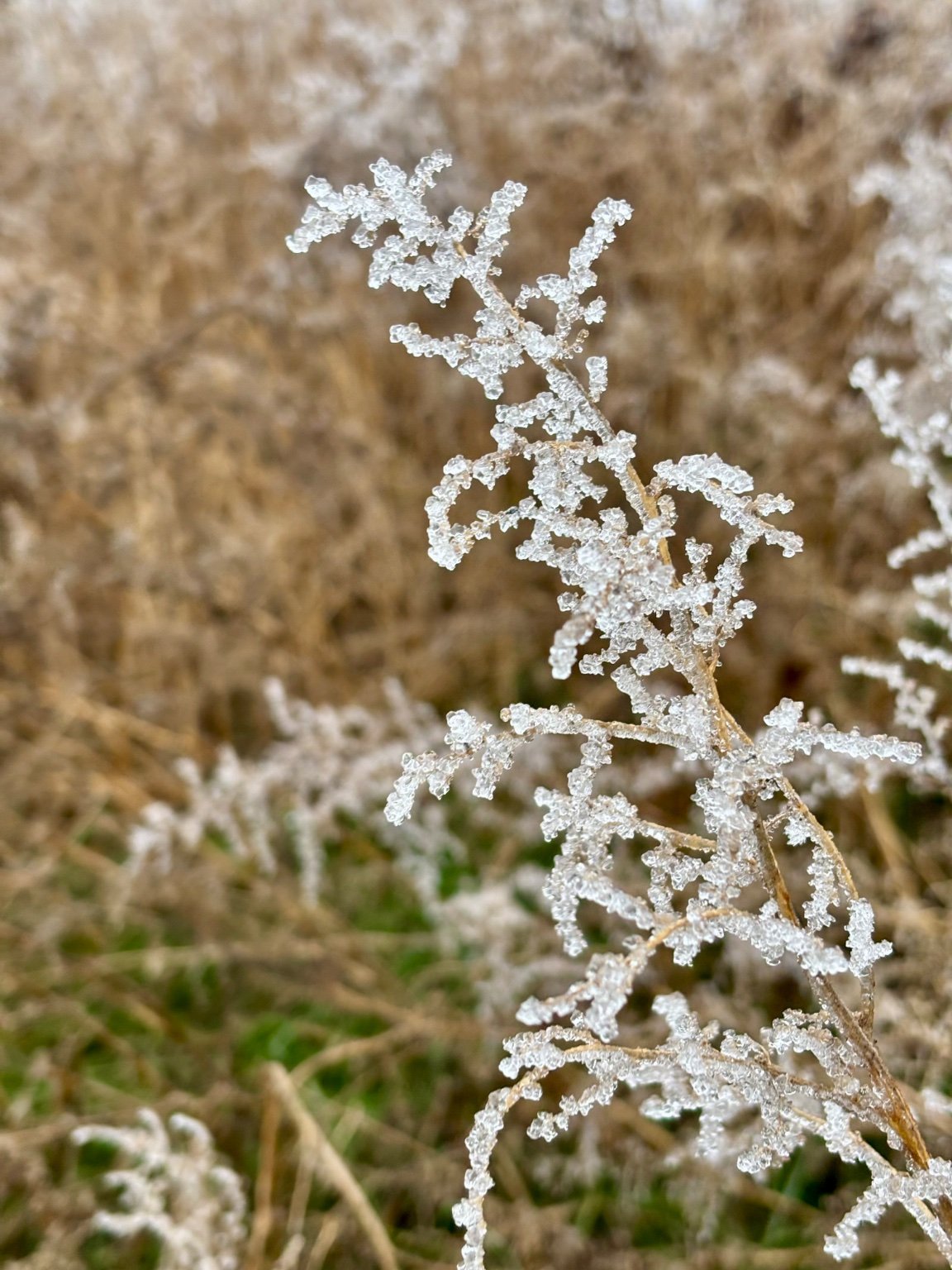 Hrnčiarovce nad Parnou