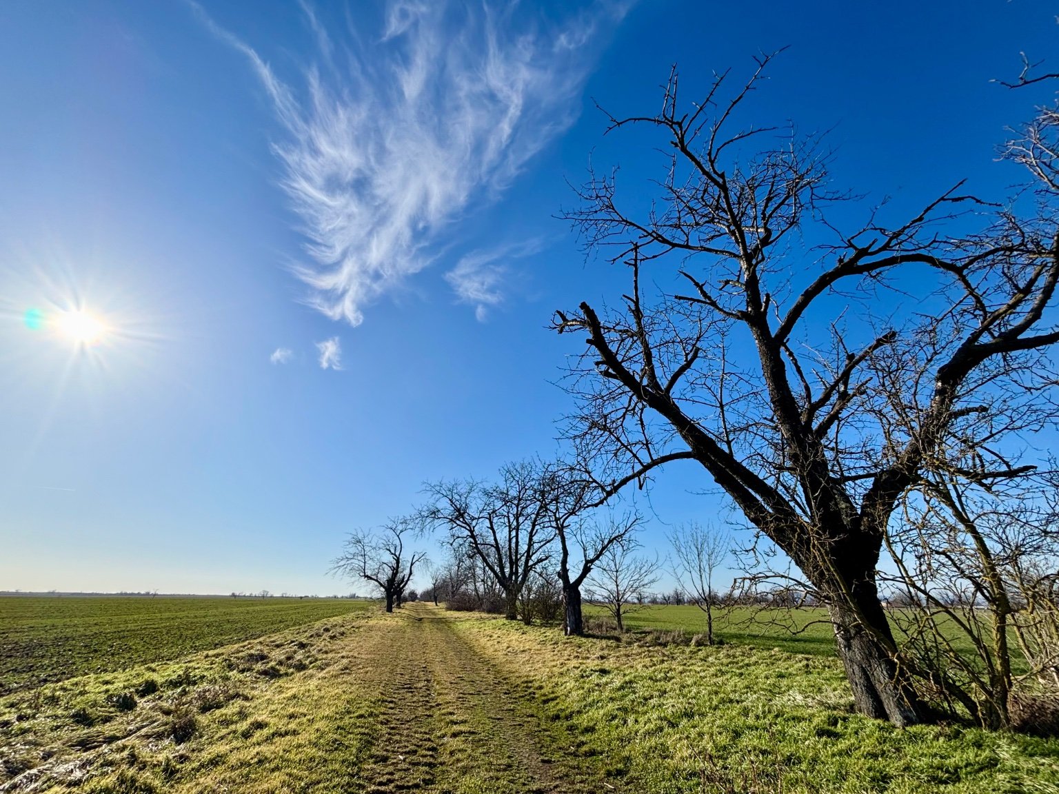 Hrnčiarovce nad Parnou