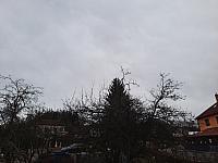 Olešná