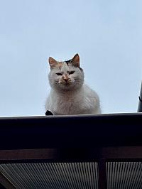 Hrnčiarovce nad Parnou