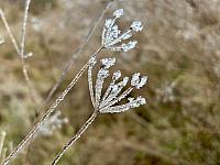 Hrnčiarovce nad Parnou