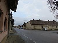 Třibřichy
