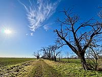 Hrnčiarovce nad Parnou