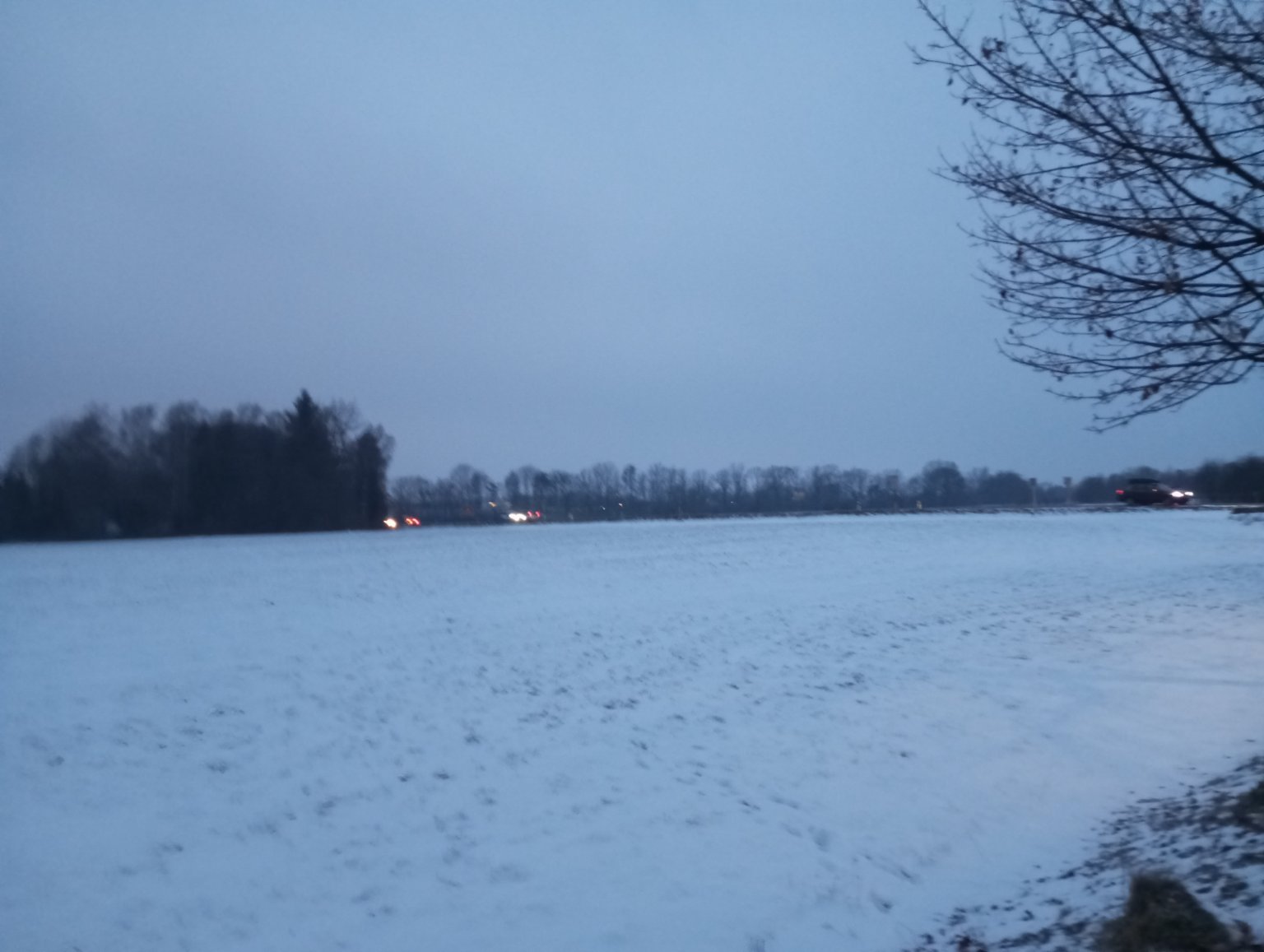 Kopřivnice, Vlčovice