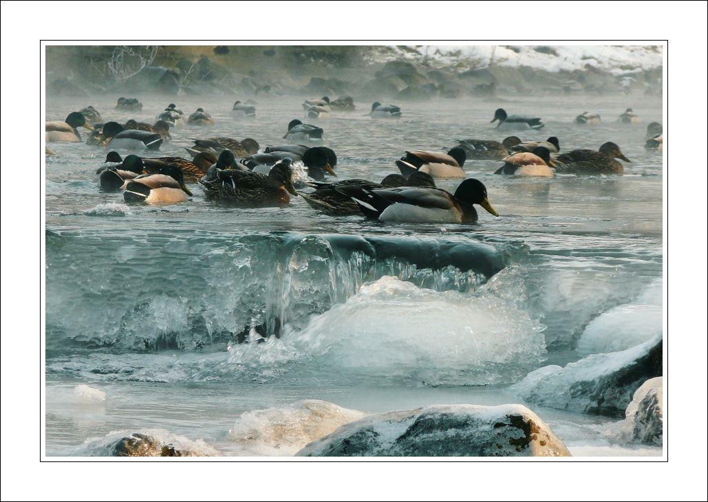 Rožnov pod Radhoštěm