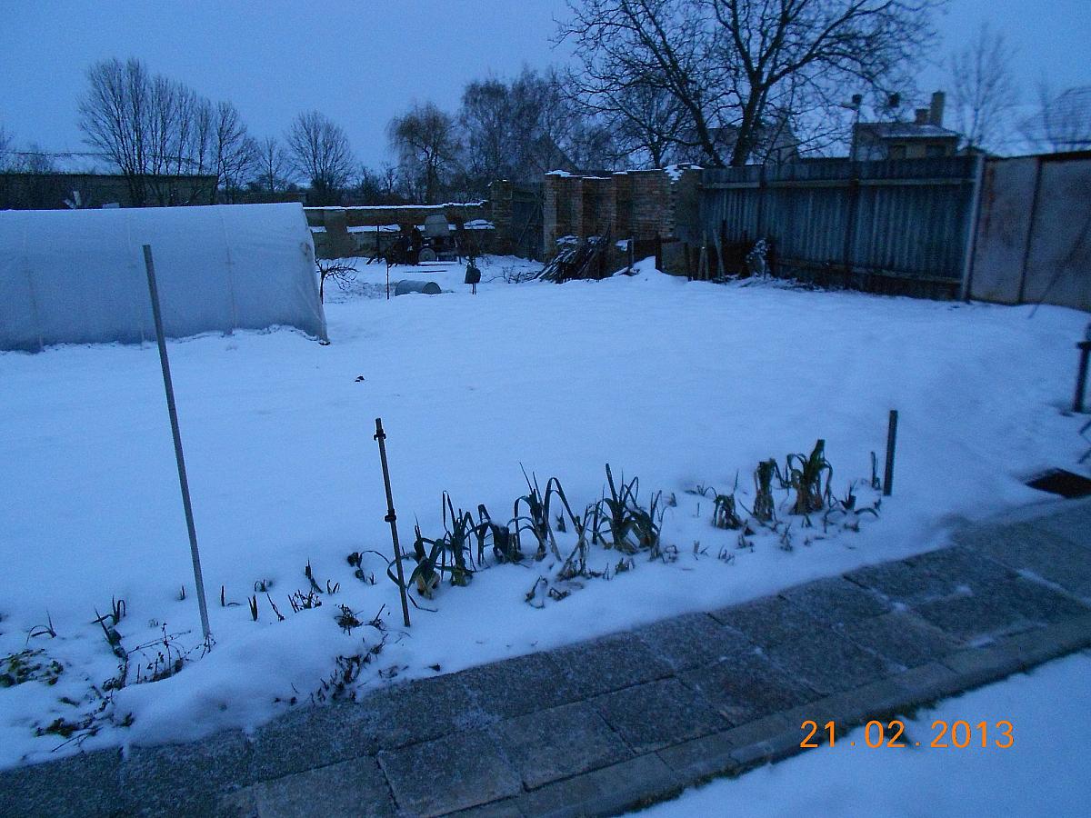 Radešín (Podřipsko)