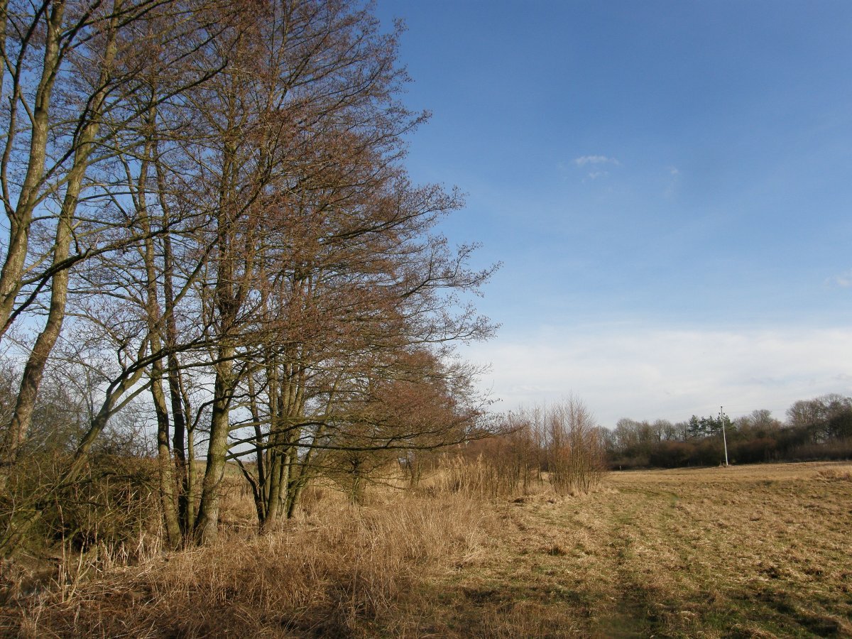 Dětenice-Brodek, okr. Jičín