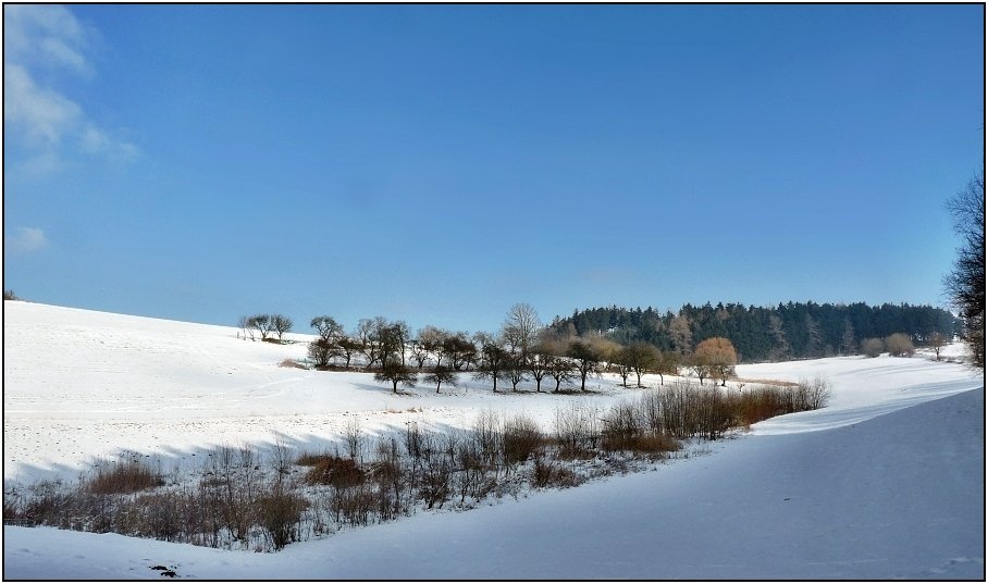 Olešnice na Moravě