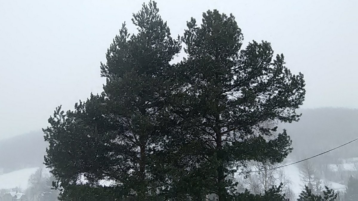 Holčovice okr. Bruntál