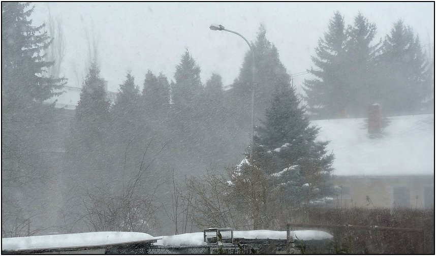 Olešnice na Moravě