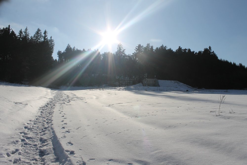 Třebouňský vrch u Toužimi