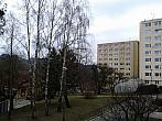 Borovina