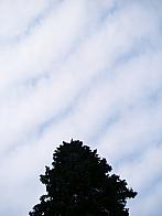 Nové Město na Moravě