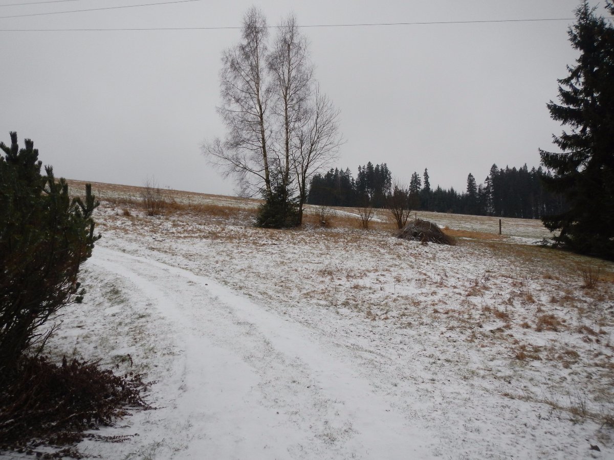 Rokytnice v Orlických horách