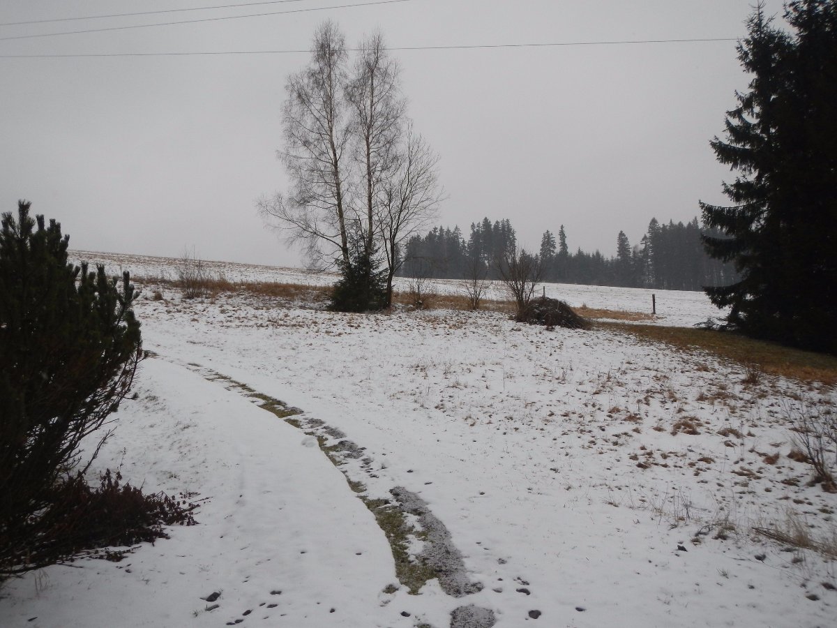 Rokytnice v Orlických horách