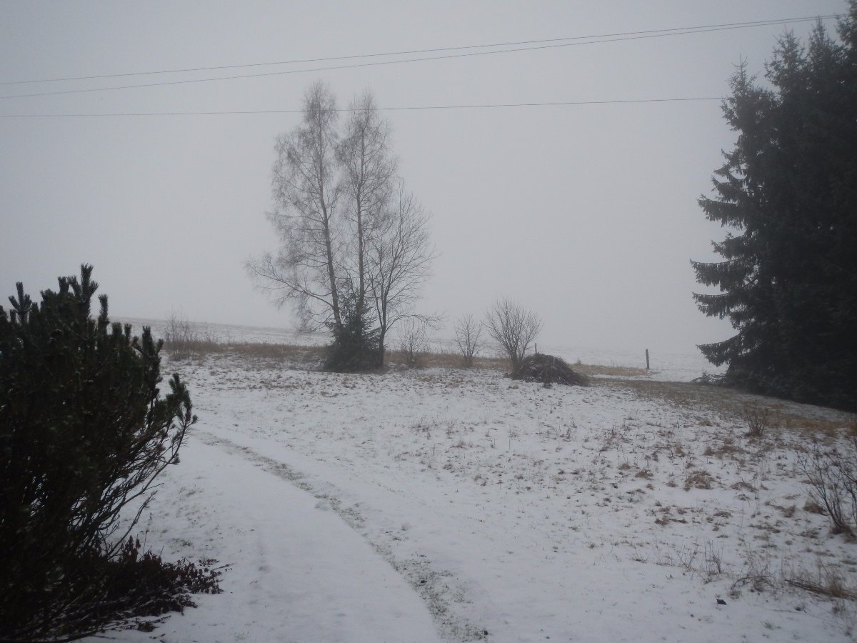 Rokytnice v Orlických horách