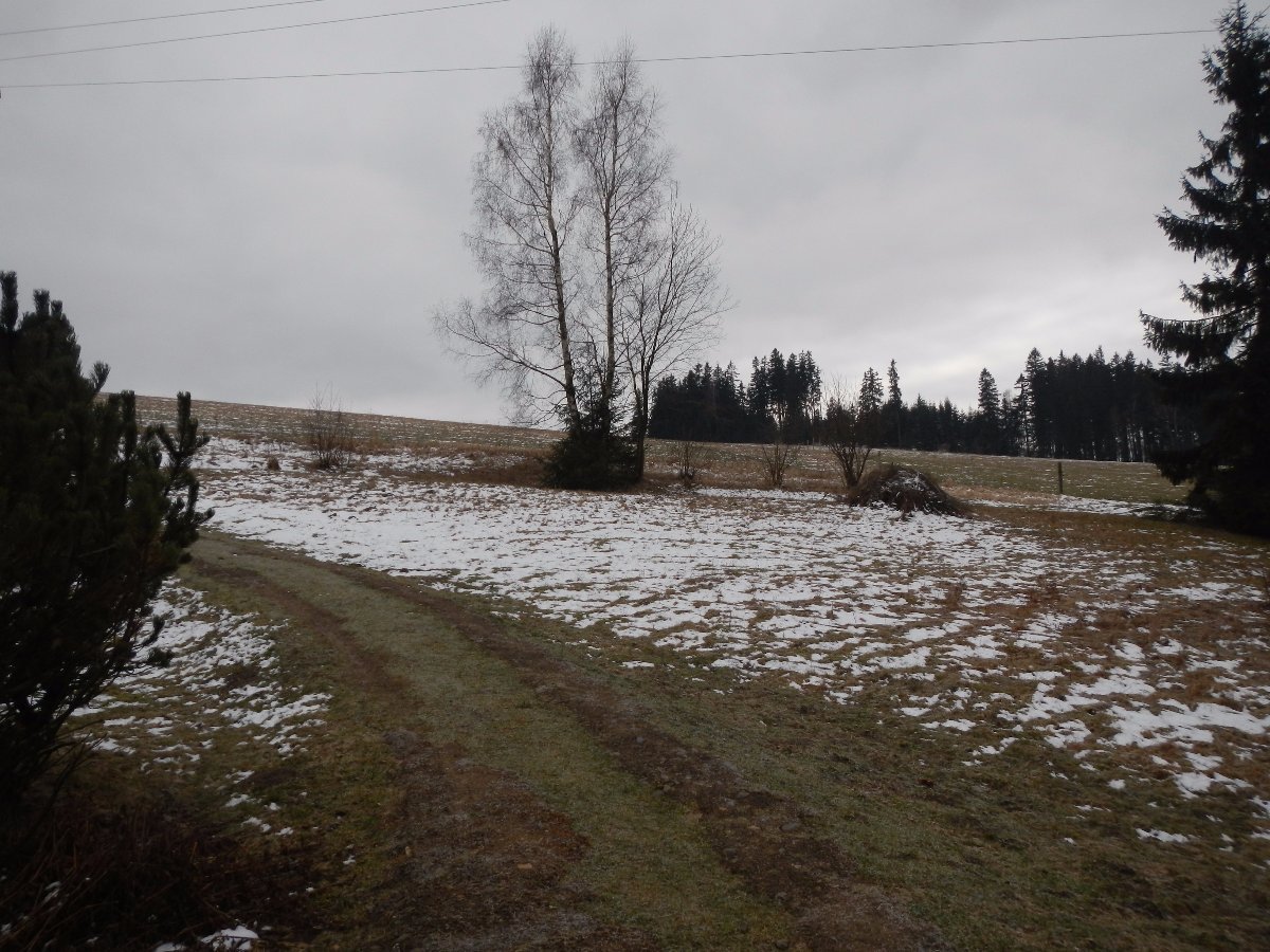 Rokytnice v Orlických horách