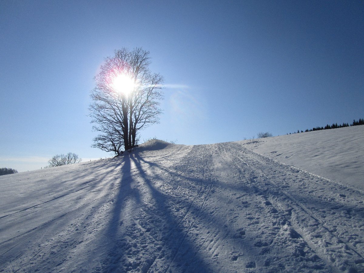Staré Město pod Sněžníkem