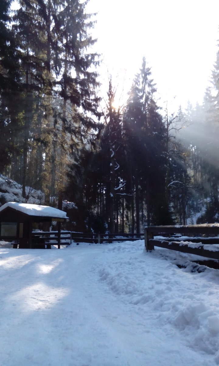 Kyjov u Krásné Lípy