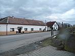 Třibřichy
