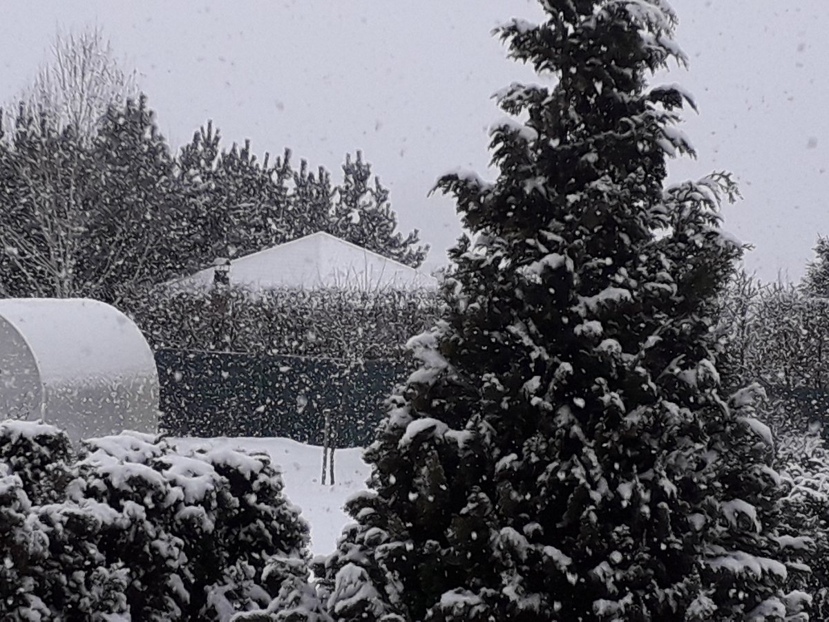 Benešov u  Boskovic