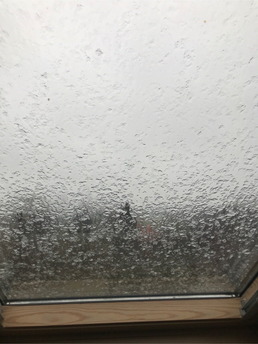 Albrechtice u Českého Těšína