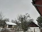 Olešná
