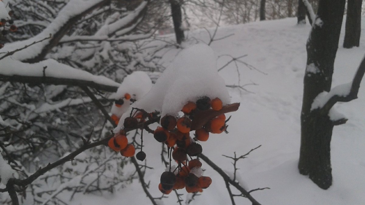 Praha, Jižní Město