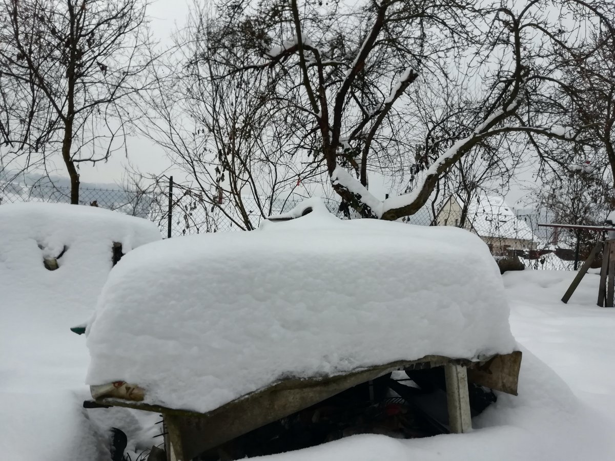 Jílové u Děčína