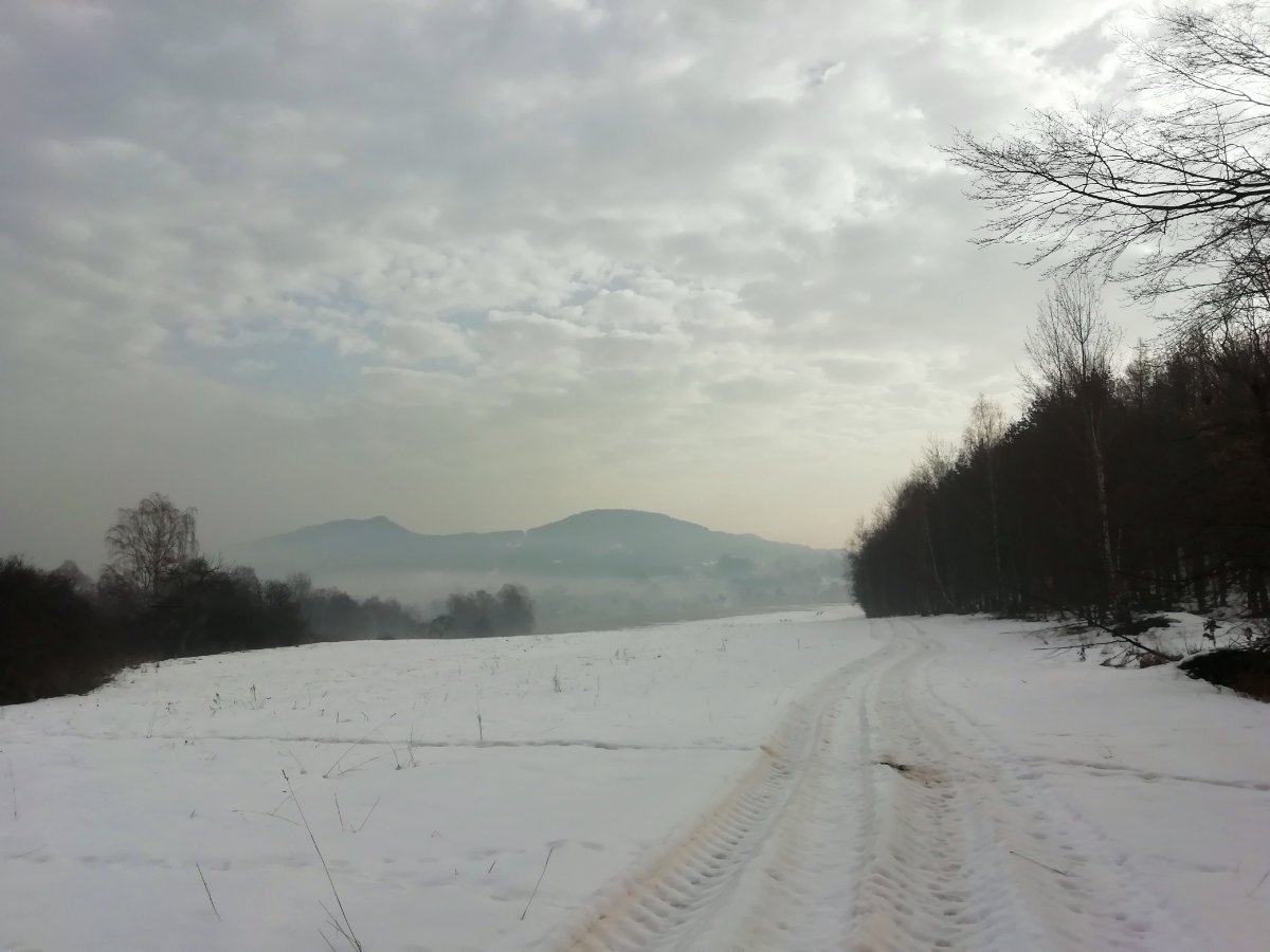 Jílové u Děčína