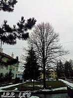 Slavičín,sídliště Vlára