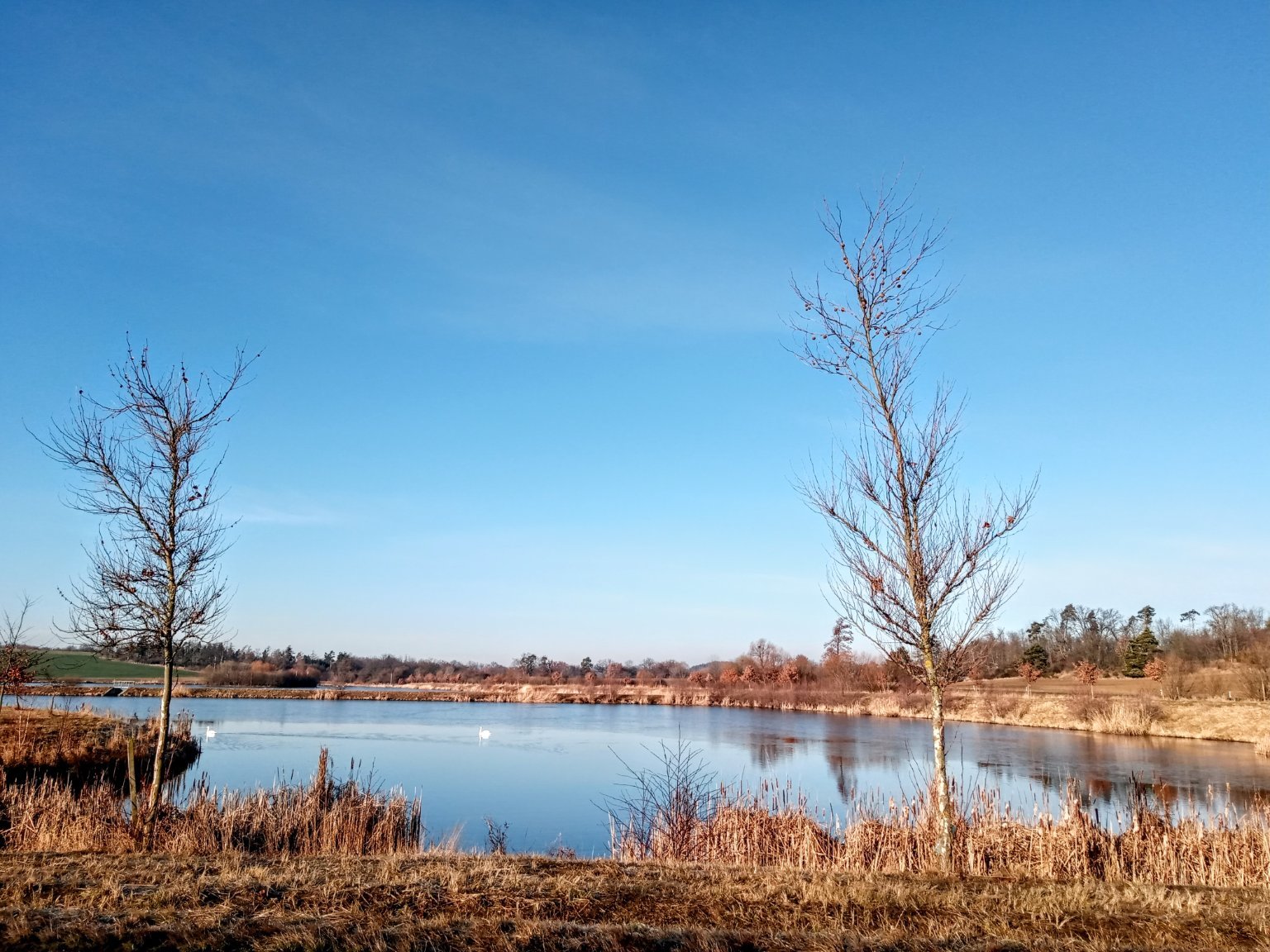 Náměšť nad Oslavou