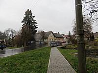 Třibřichy