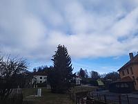 Olešná