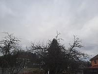 Olešná