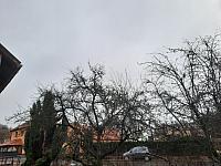 Olešná